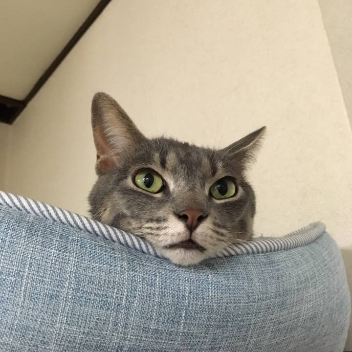 A42699c2 0da3 4518 ab01 e1c5be5368c2