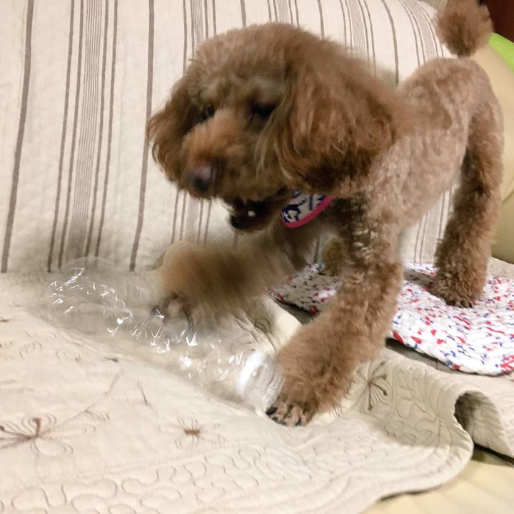 A4276092 3f83 4bef 974c dc6c506c8b1a