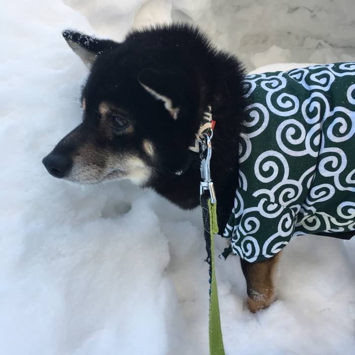 A427769e ca5a 415b b70e 4a3bb7ffea80