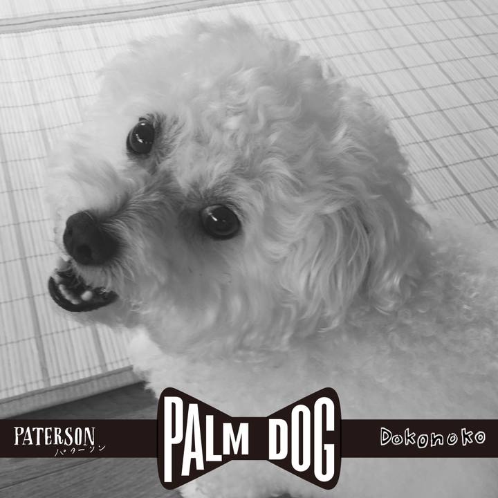 A428be04 fb50 4be9 bec4 0f0b7599154c