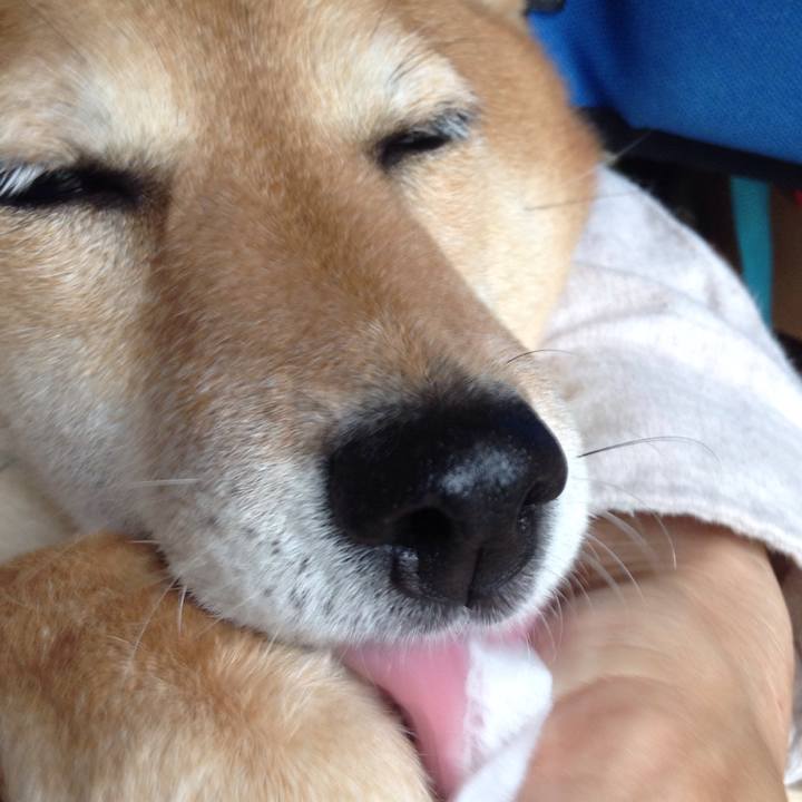 A4295b6f 7c6a 44d9 a7e4 c8a5bbc35bc0