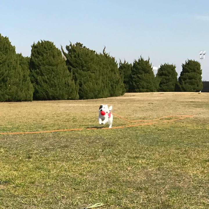 A42a0e8d a319 40ff b5e3 87c5484949b8