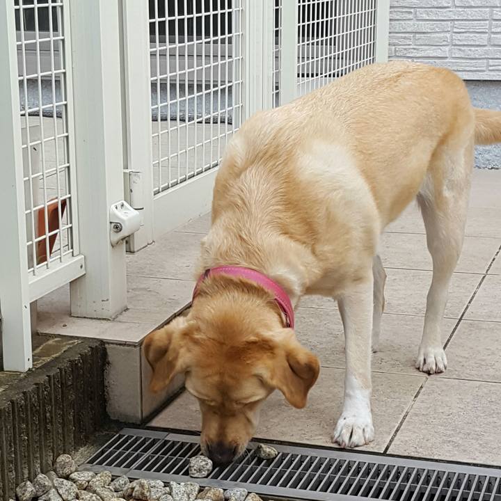 A42aa0c4 2ff5 48c1 8c92 c20f70e3fadc