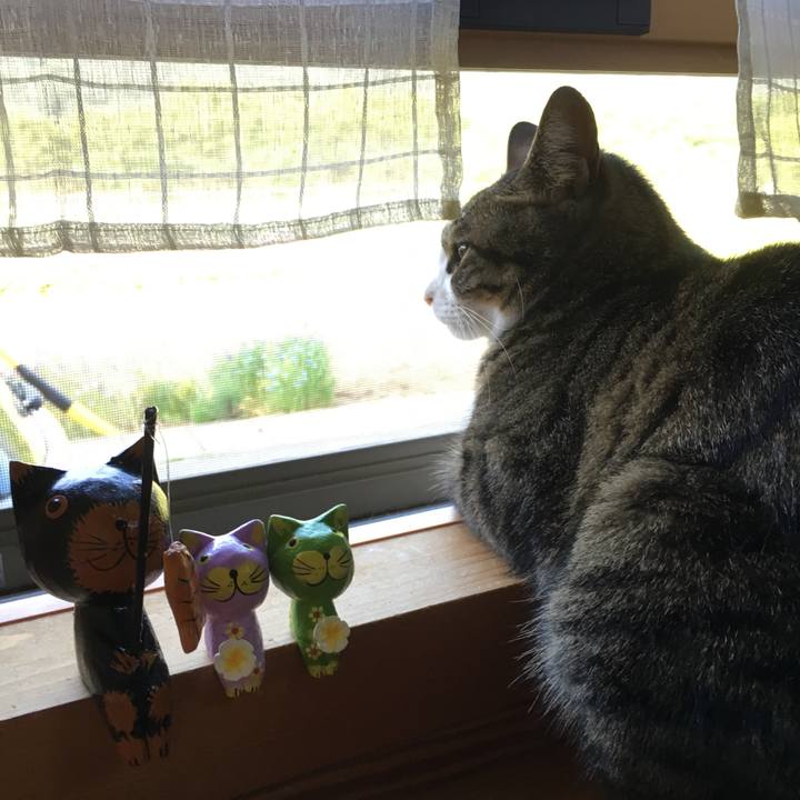 A42b28a0 4f8f 4403 87b6 4c07126784c1