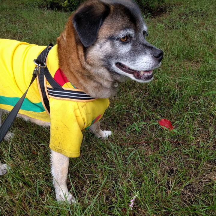 A42b844b 2cb5 4762 aab5 d62773558142