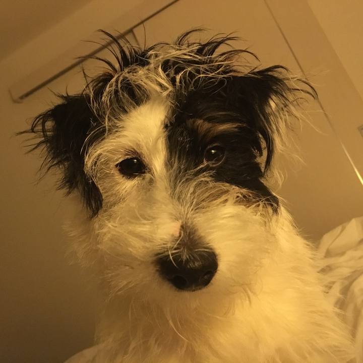 A42b97c0 0a33 4c41 98e0 353a8f53cd4b