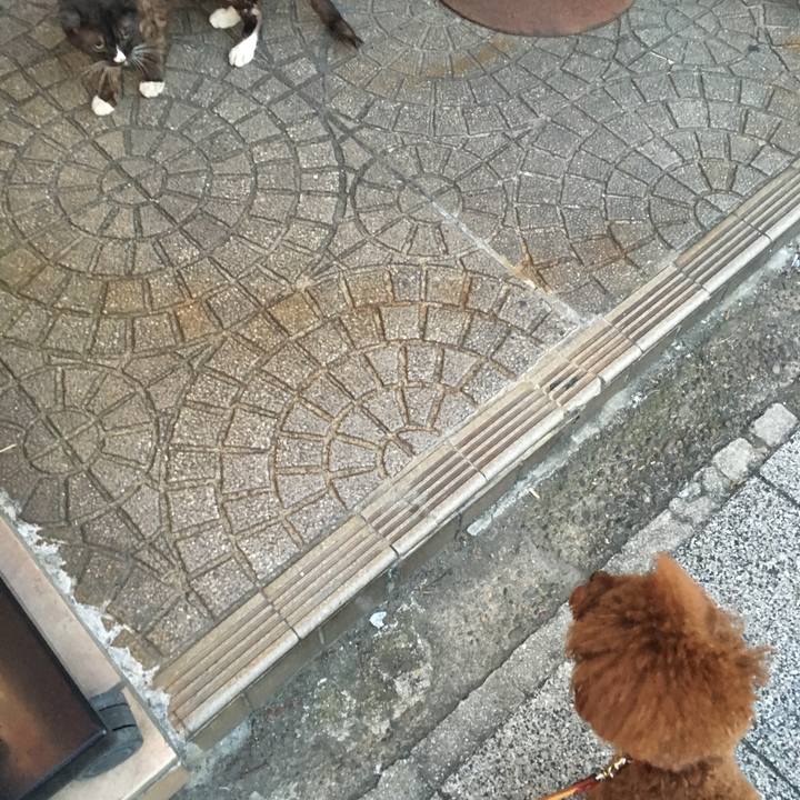 A42bfe8a 71a7 4b53 a7a6 28ffe541f1df