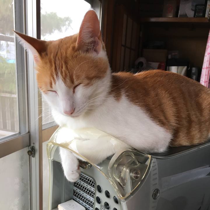 A42c3510 22bb 407e 9000 b3db454a8b47