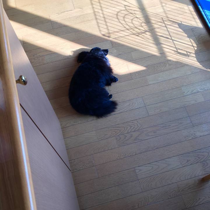 A42d3371 128d 41ed b0f3 972f2b06c421