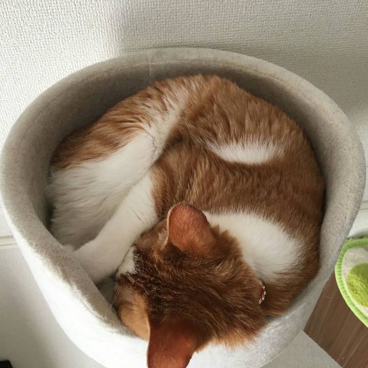 A42d55a0 5a20 4d68 883e 3a4a0a232df9