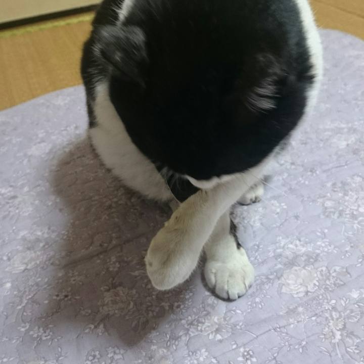 A42d7296 7d60 48a0 8860 52376adbb8b0