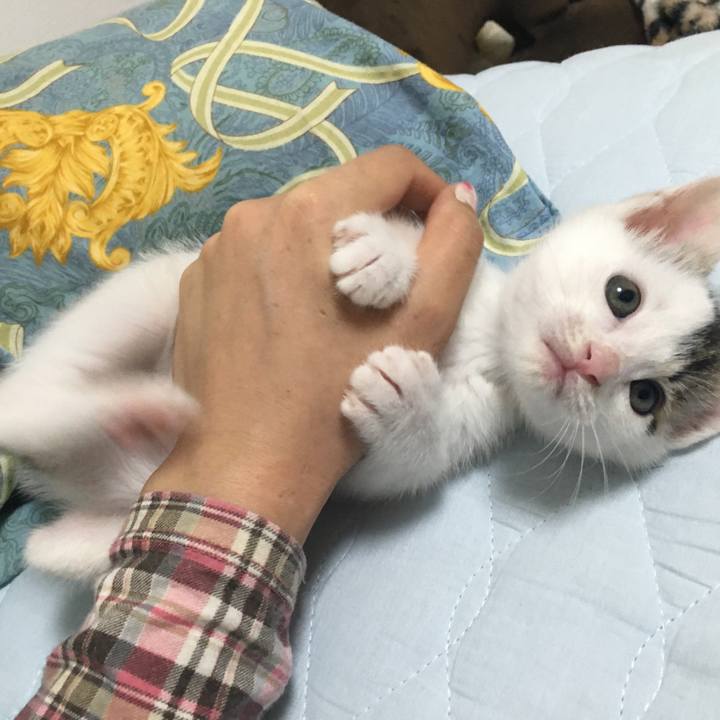 A42ddd3d 0247 41a8 b747 509f4685ed93