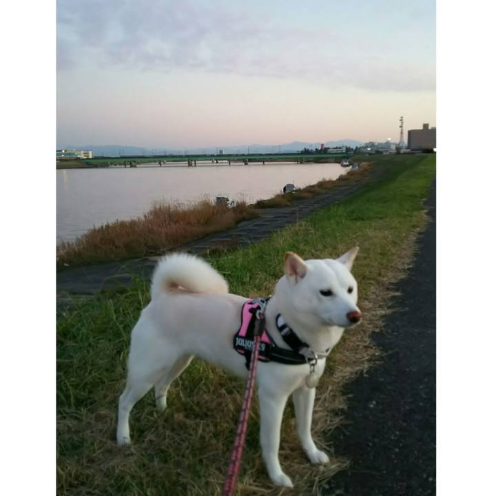 A42e15d5 06ba 4803 bda2 e1142d67f8a8