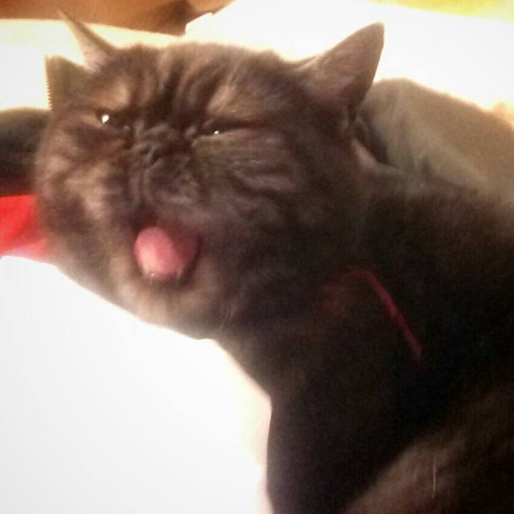 A42e1c1a 347f 4f53 87ab 90f9e454a66d