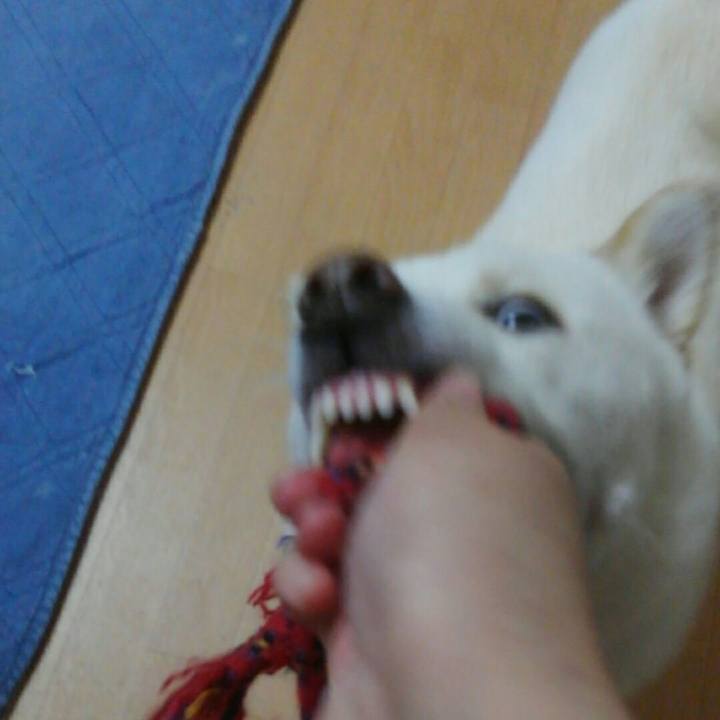 A42e4120 4eae 43ed bbcb d6790dd75423