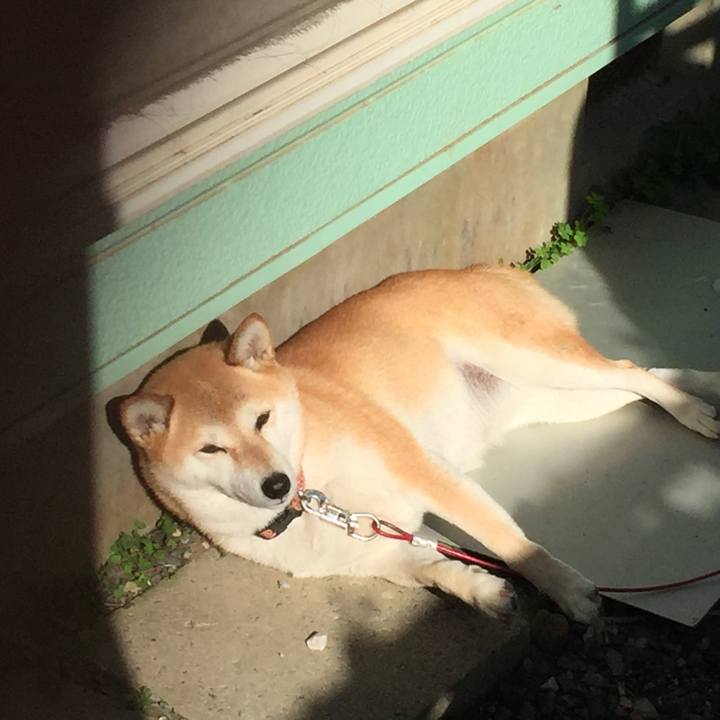 A42e454b 91ec 4e29 bce4 4e92b261049a