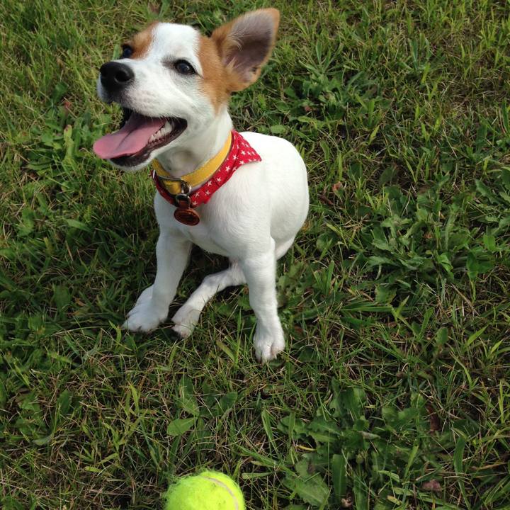 A42e7392 1017 49ef b78f f5457f220f59