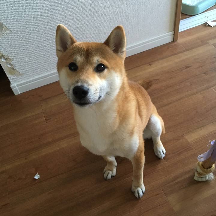 A42e98c1 8708 456b aed9 8e781d7c11bd