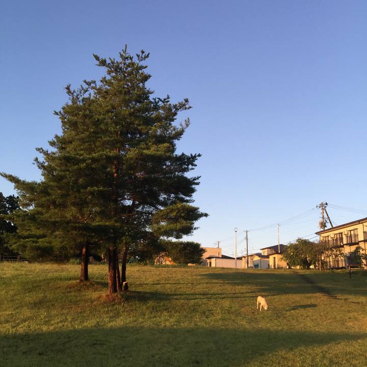 A42eac3e 3a29 4851 8280 d4cf0bcec837