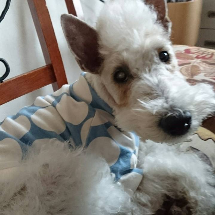 A42ec9ea 3a6b 490f b7c4 796e8a8c2350