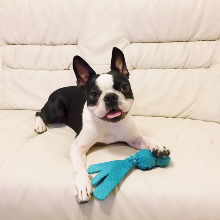 A42f4f44 e96b 4890 bec3 7f6e891beeb2