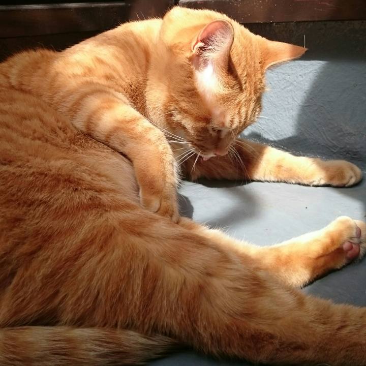 A4302e59 ec7b 4c31 887d 343886951dff