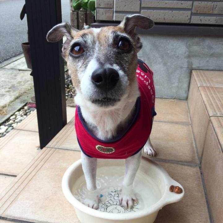 A4304c28 1a22 4c91 9106 3ea0e832674a