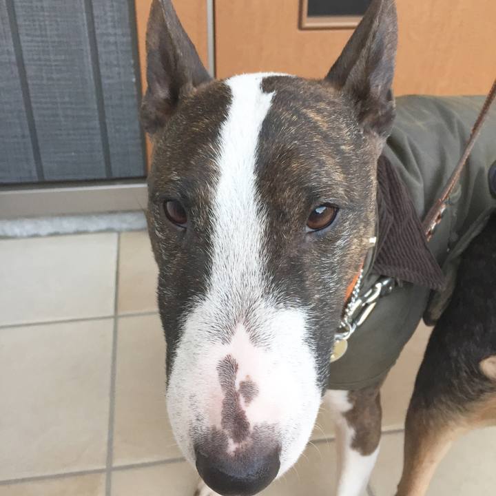 A4317620 376a 43eb a171 2b6407047f67