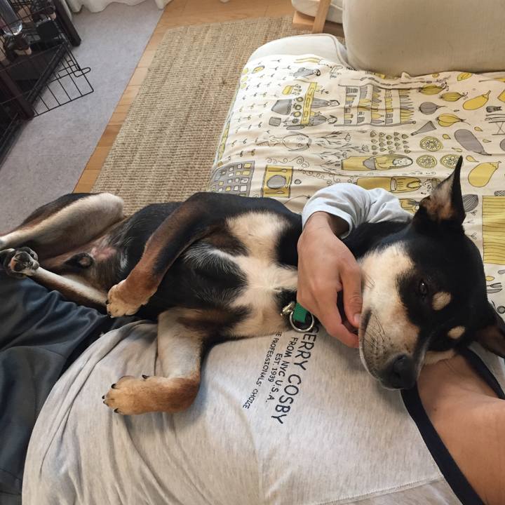 A431aab4 e6e0 4f68 b4f1 3239a5f8def8