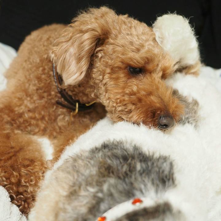 A431c47b 5c92 4917 9661 db614f47c0f9