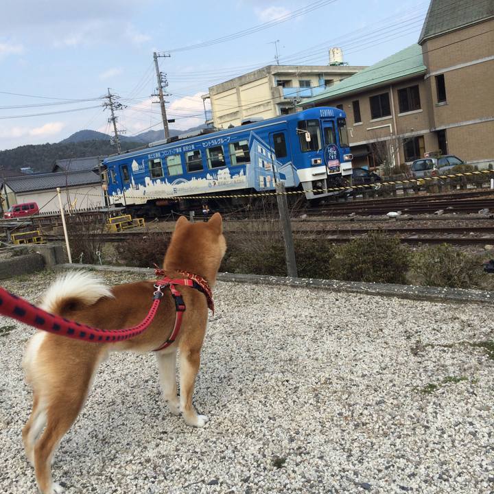 A4320e6b 34b4 4516 9589 a34c10ba3504