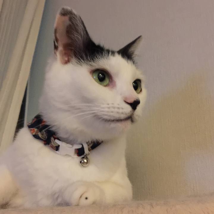 A432fa04 8ddf 469b 93a1 aad225fcd833