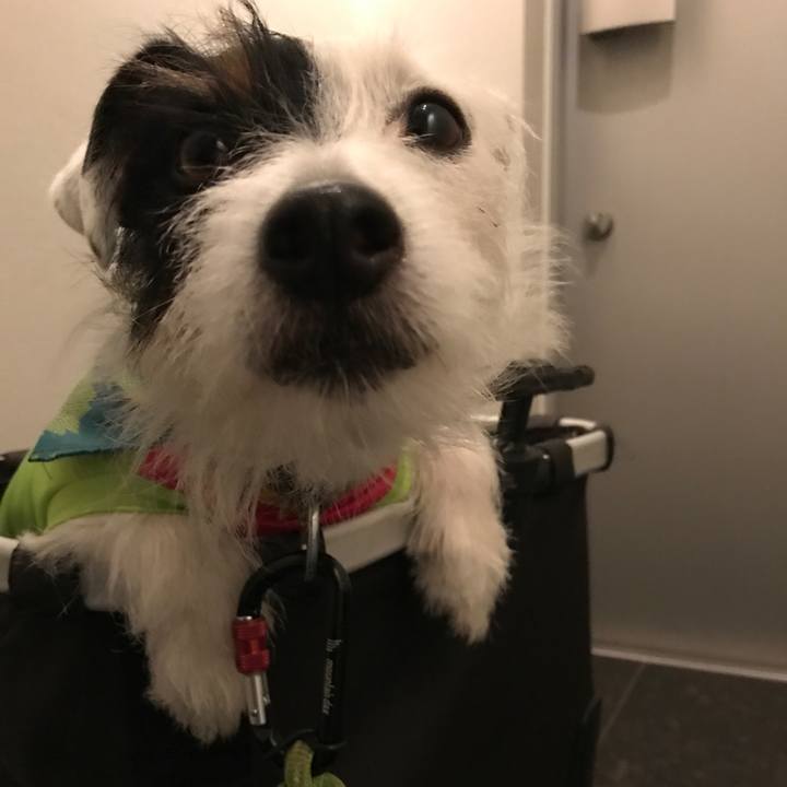 A4339902 c58d 43f0 8864 0c4a854be5e9