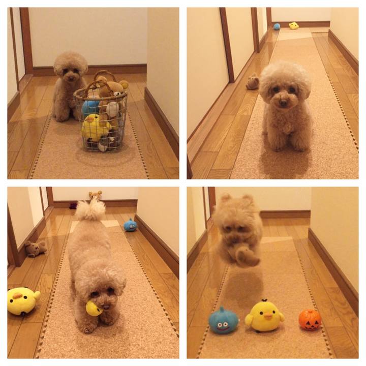 A434142e b93d 404e 981f 5741bc34a2eb