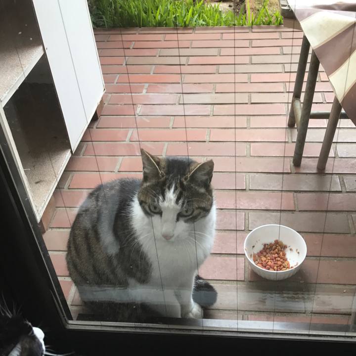 A4345eed 0ab4 41b3 978b da604583e11f