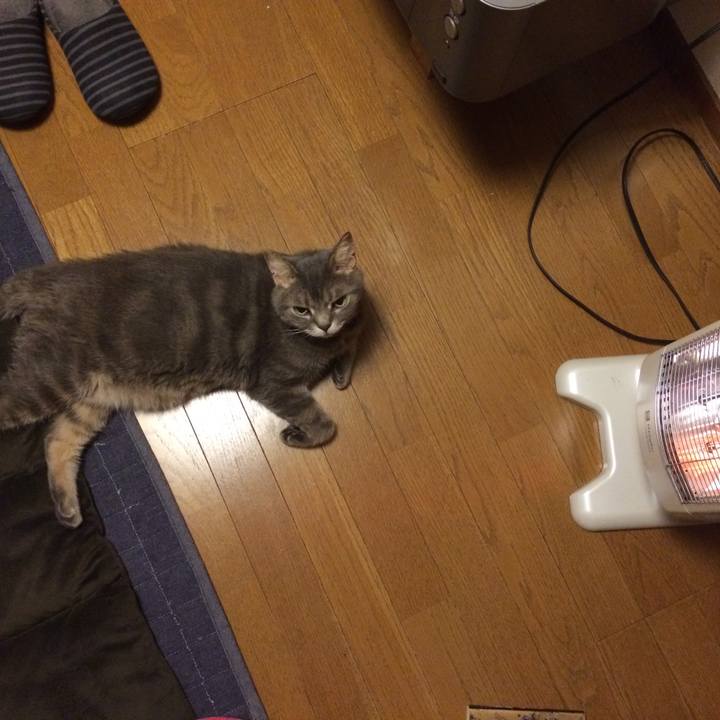 A4348772 004d 4ec2 abad 41ddbde0d3c1