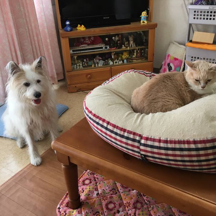 A435334f 3539 4393 a35f 102ab38cfb45