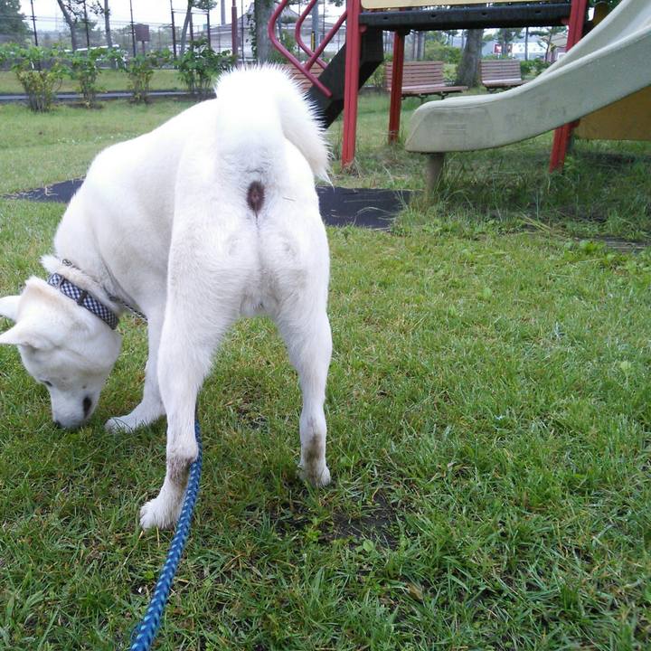 A4356be0 e8f4 4367 84f8 b7aaf0d836da