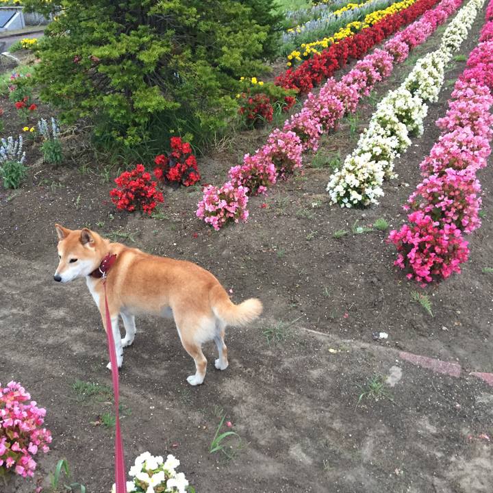 A435af73 8f63 474e 8910 5287cec93ee7