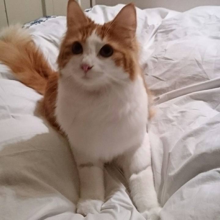 A43611d2 e198 410f a286 73c72382f18c