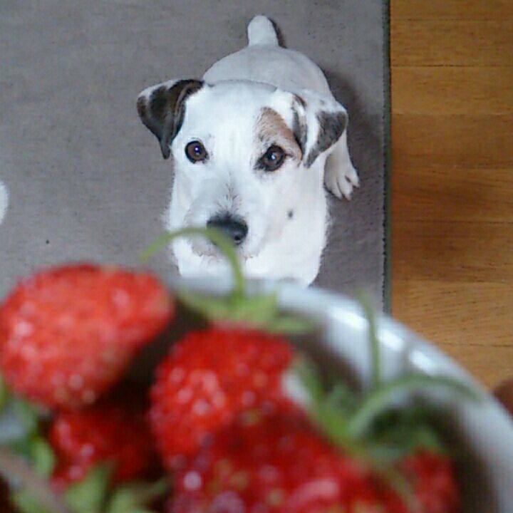 A436612d 25a0 43c7 9d6c 8bf02f79098f