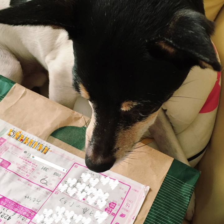 A4366221 fdef 4437 bb3e 7c9bdf52b9b6