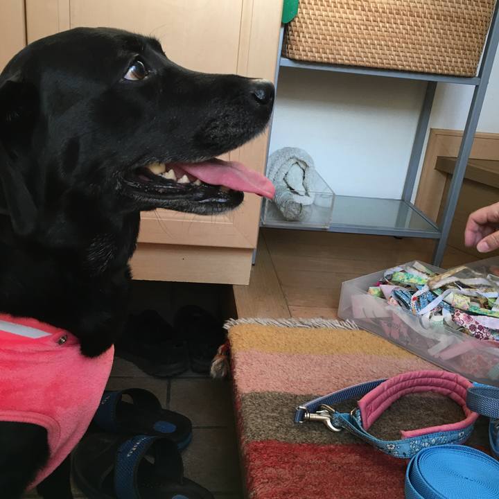 A43678f9 dbdb 4db7 b557 5db76116c7ae