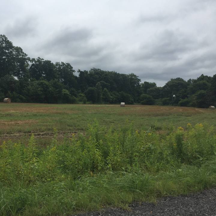 A437a4f2 5c1a 4333 82fd 8fa1128f9957