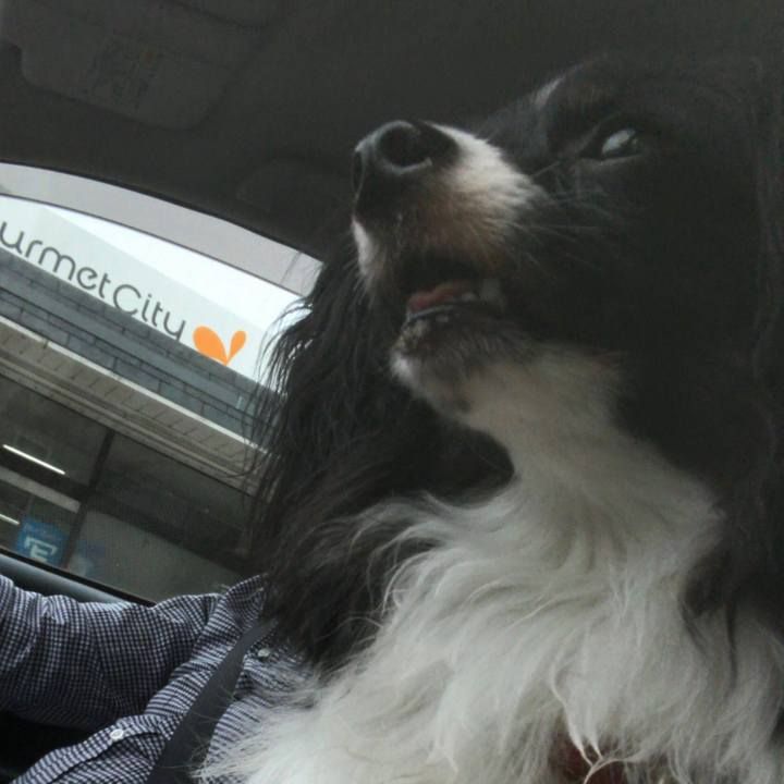 A437bfba 15f3 4e78 a864 ce13417d1be6