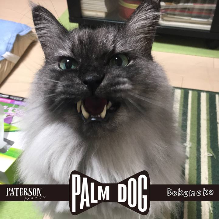 A437e698 1ea9 4233 891e 3810245dbf0d