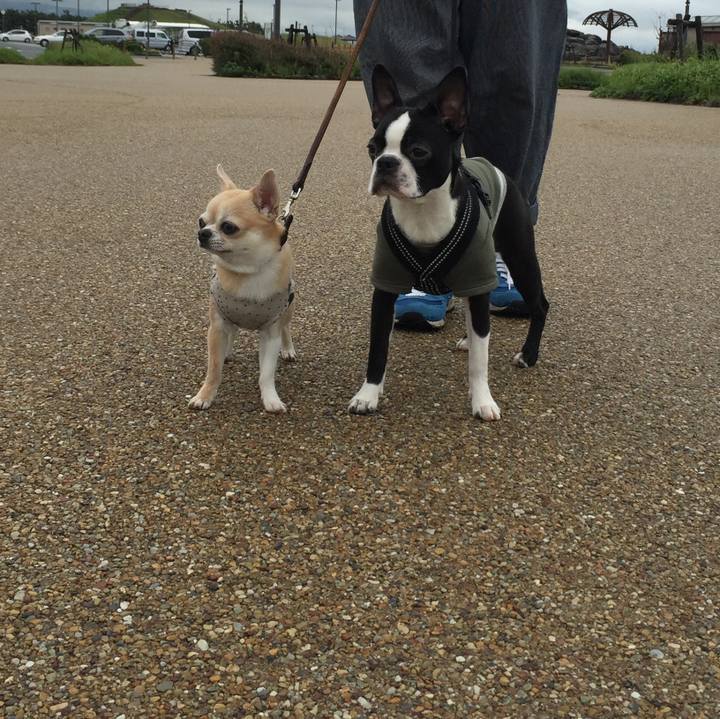 A437f0be 9b12 4a42 99cf 5c974e795772