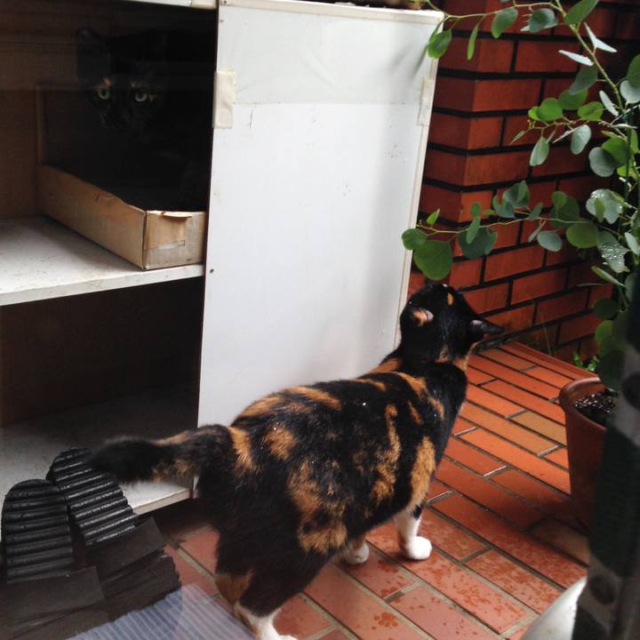 A43945c4 19d2 4b4f 87a3 b538c22f1811