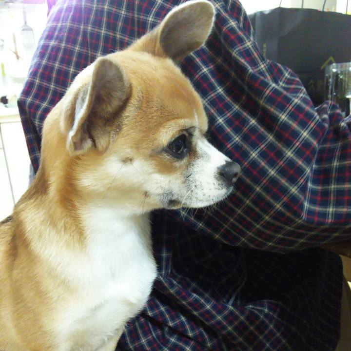 A43a148c dbc6 4efe bafa 1ff37a825f6c