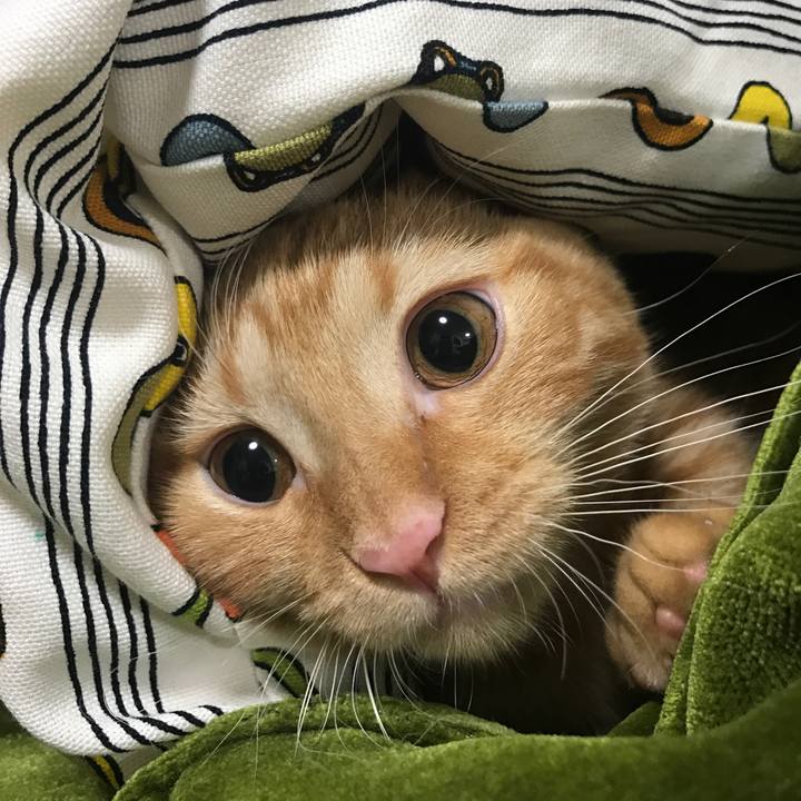 A43a70b0 c9a7 4bc2 a826 738365e7ccd6